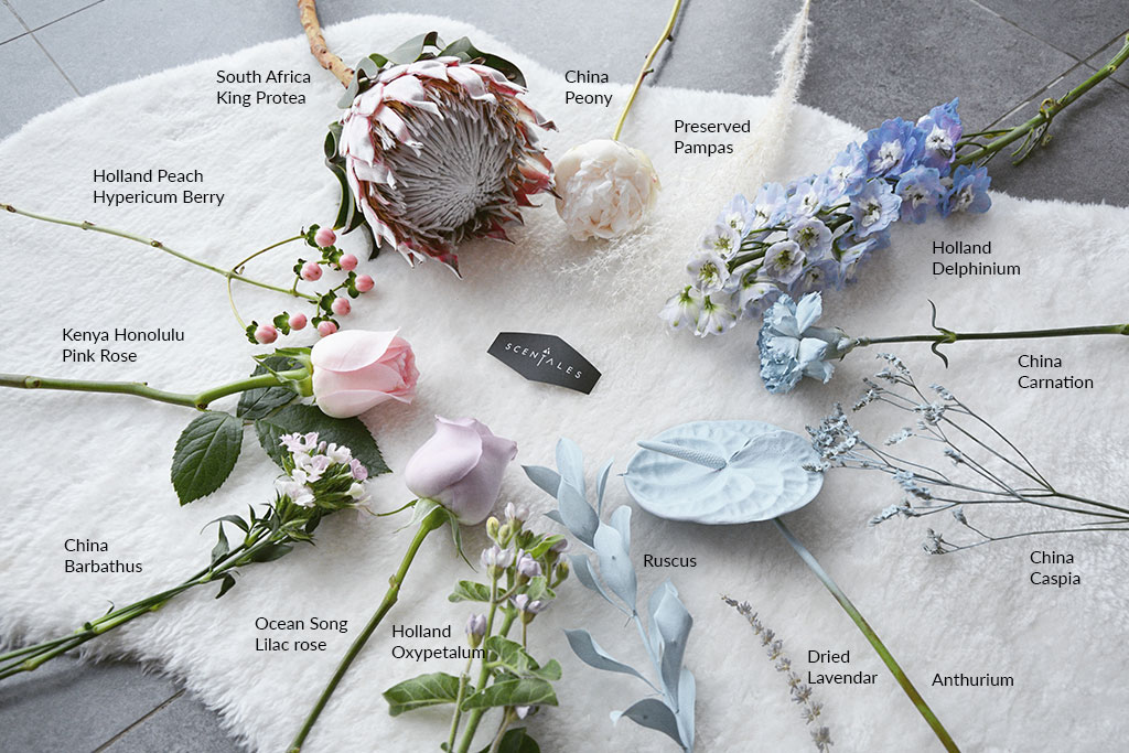 blog-0619-ocean-song-recipe-1024x683