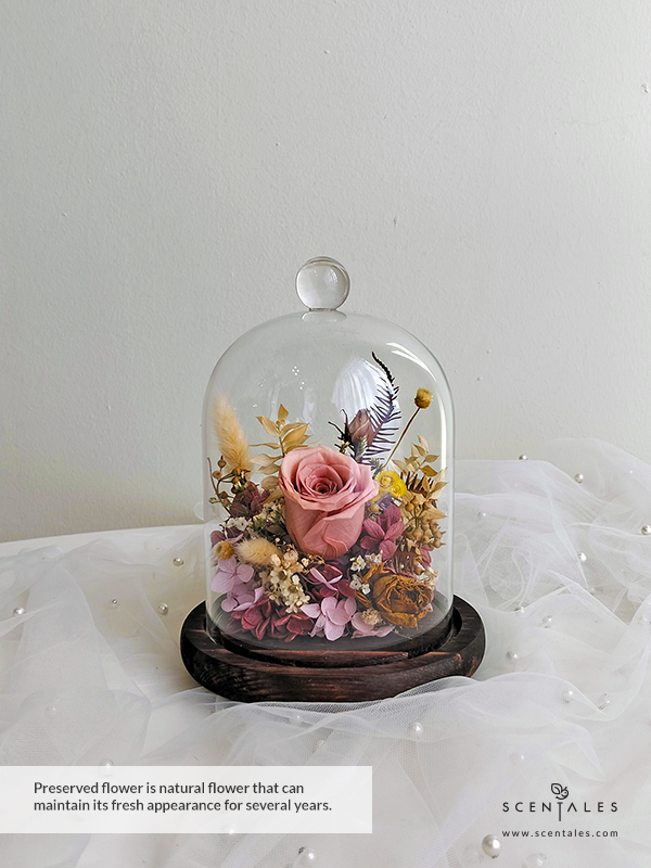 Dried and Preserved bell jar with rose, bunny tails, happy flower, dried spray rose, preserved hydrangea (light pink and maroon), ixodia, dried caspia, died baby breath, dried mini fruit, ruscus, yamashida leaf (brown), helichrysum