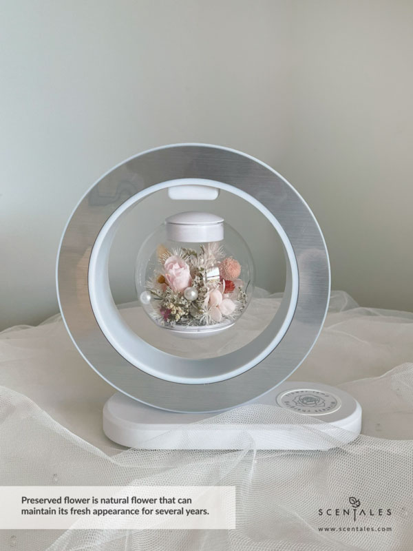 dried and preserved flower lamp with preserved pink small rose, preserved pink craspedia, red gomphrena, happy flower, plenty of preserved light pink hydrangea, preserved white asparagus, dried white caspia, dried fushia caspia and dried baby breath