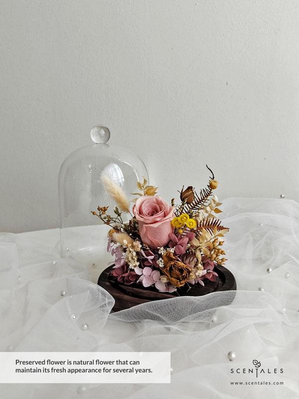 Dried and Preserved bell jar with rose, bunny tails, happy flower, dried spray rose, preserved hydrangea (light pink and maroon), ixodia, dried caspia, died baby breath, dried mini fruit, ruscus, yamashida leaf (brown), helichrysum