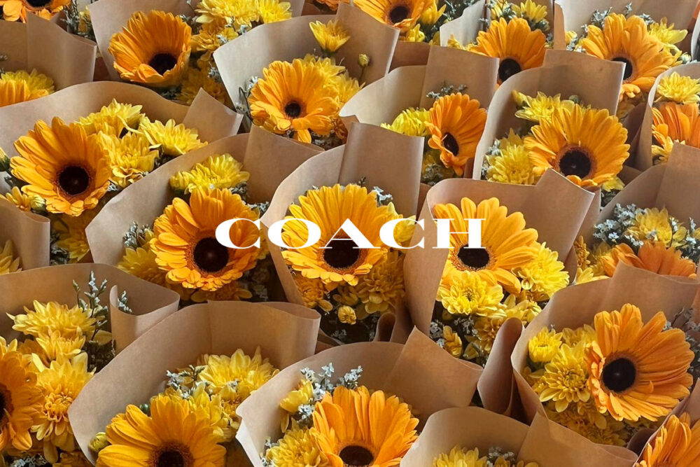 corporate-event-coachmday2024-01-1200x800 corporate-event-coachmday2024-01-1200x800