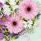 Fresh Flowers in KL and Selangor: How to Order Bouquets Online for Every Occasion