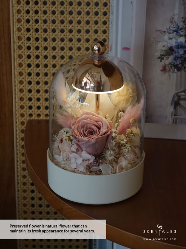 vday2026-always-&-forever-bell-jar-lamp-03-600x800
