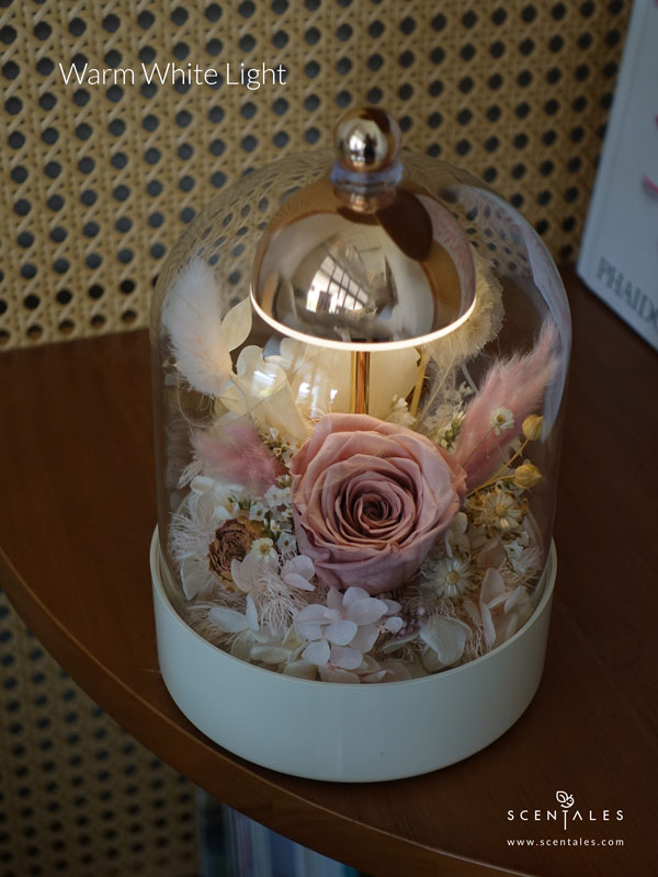 vday2026-always-&-forever-bell-jar-lamp-light-02-600x800