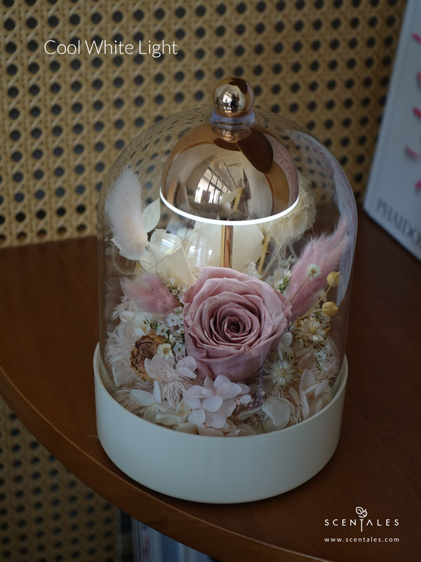 vday2026-always-&-forever-bell-jar-lamp-light-03-600x800