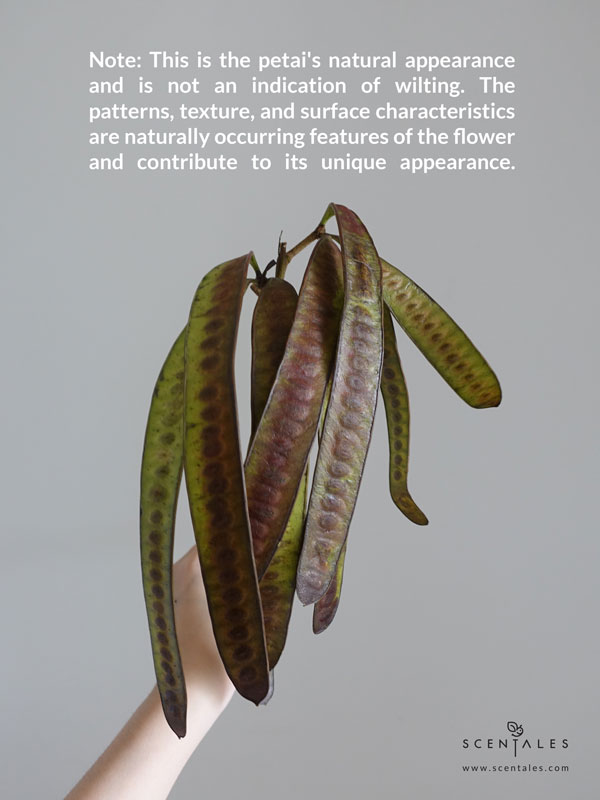 the-gentlemans-eden-fresh-flower-bouquet-06-600x800 (Limited) The Gentleman’s Eden Flower Vase - Image 3